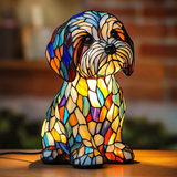 Sam | Magische Lampe