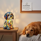 Sam | Magische Lampe