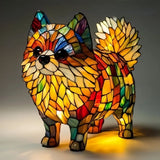 Simba | Pomerania Sonnenstrahl
